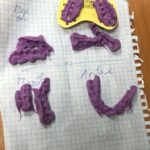 КРУЖОК «ГНАТОЛОГИЯ»